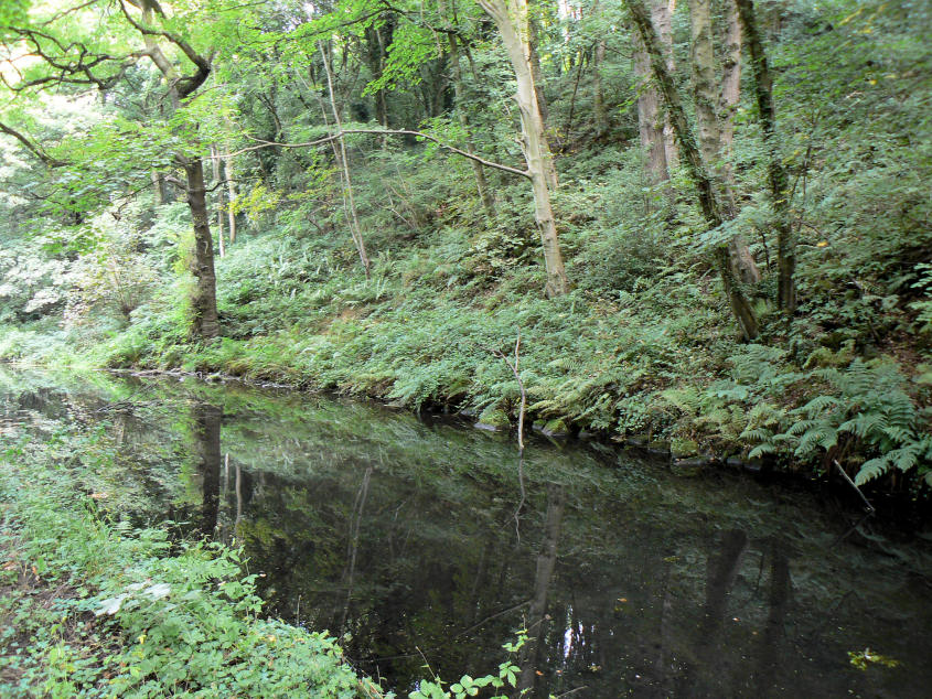Cromford Canal Cromford Canal
